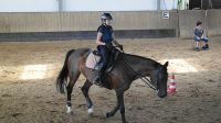 reiten11