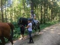 reiten29