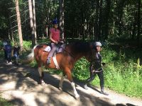 reiten31