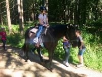 reiten32