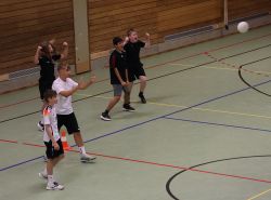 voel01