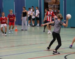 voel08