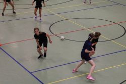voel12