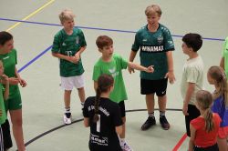 voel15