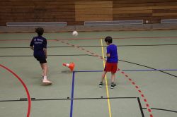 voel16