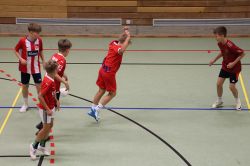 voel17